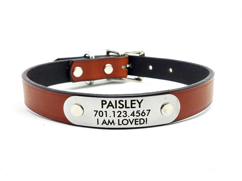 Classic Leather Dog Collar or Leash with Laser Engraved Personalized N ...