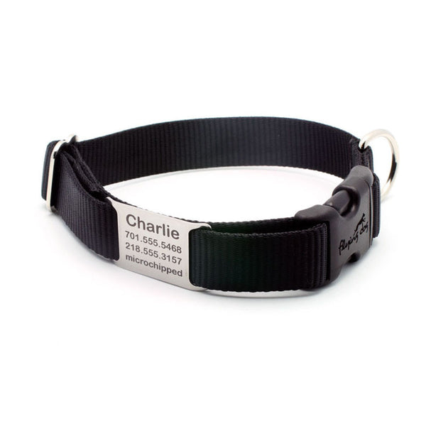 STEALTH Webbing Collar with Laser Engraved Personalized NamePlate ...