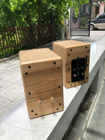 diy speaker kits