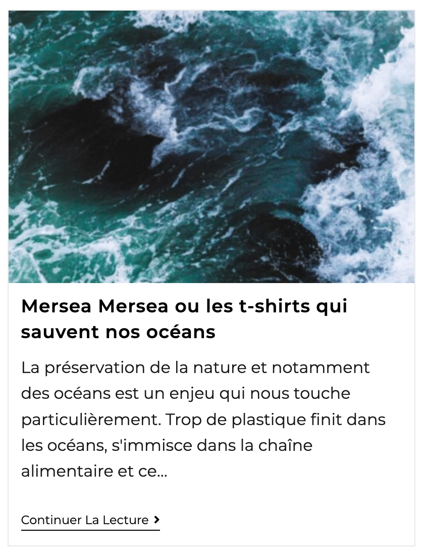 article du blog GreenMa sur les ocean lovers 