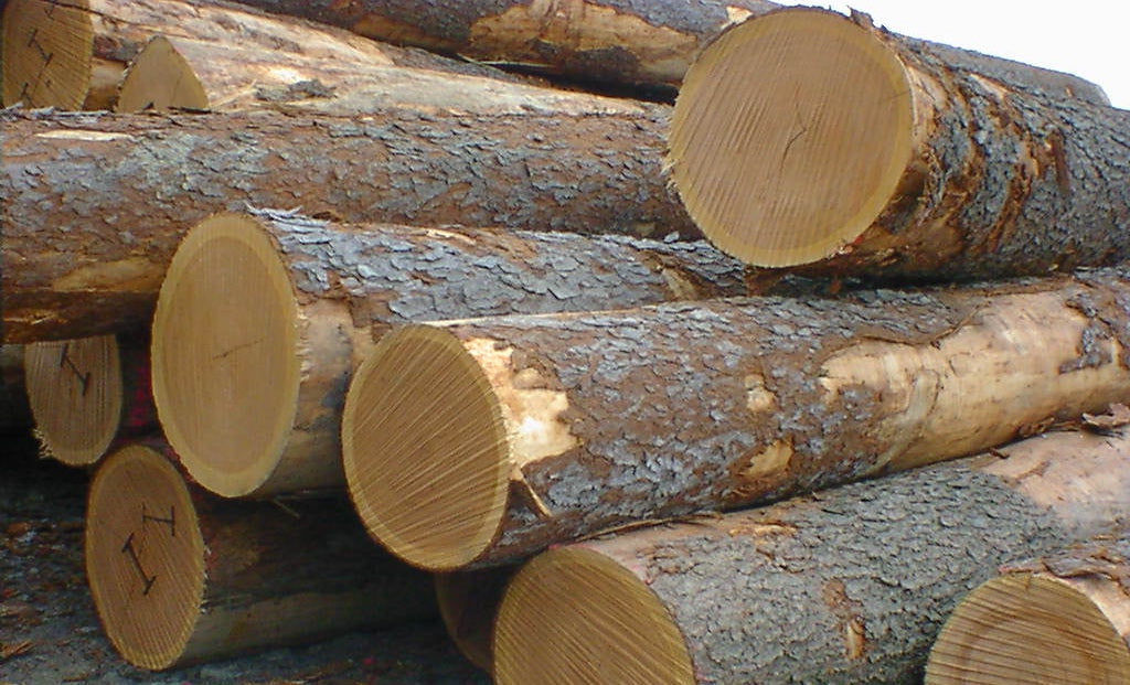 Oak-wood-is-a-good-hardwood-for-furniture