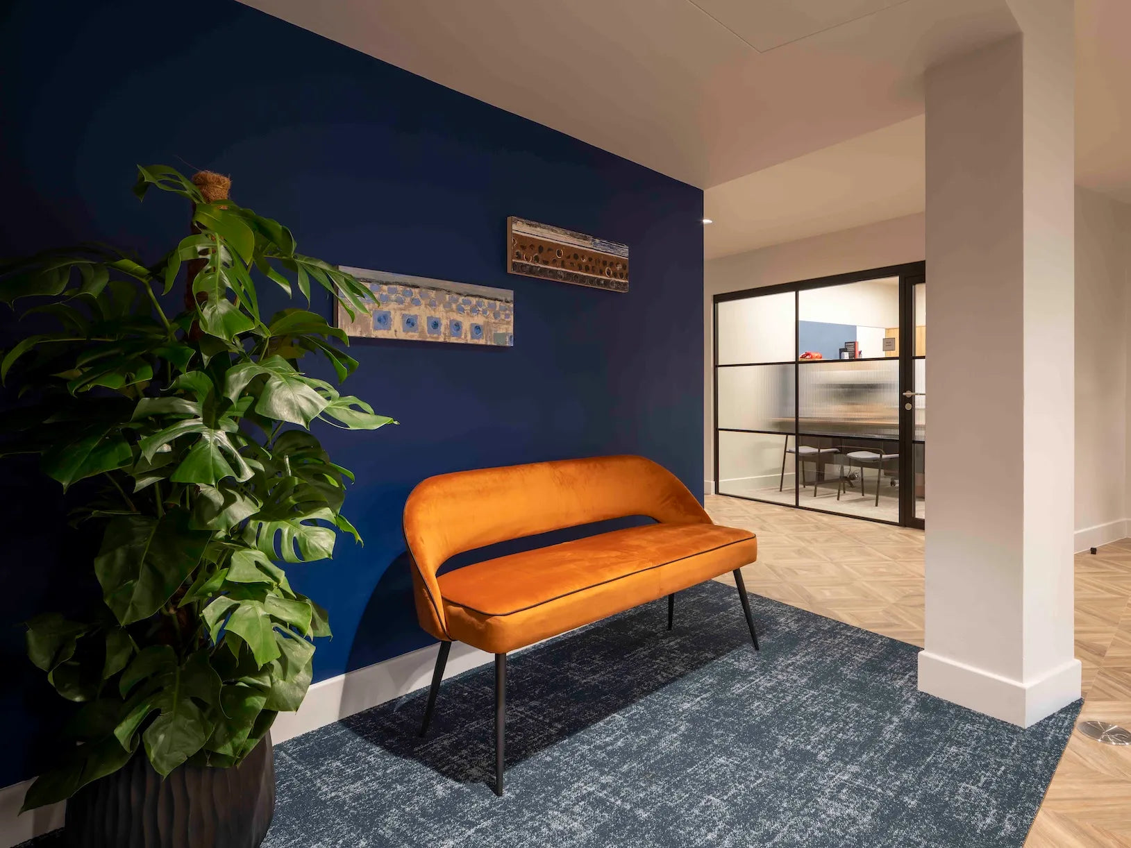 Curina Commercial Project