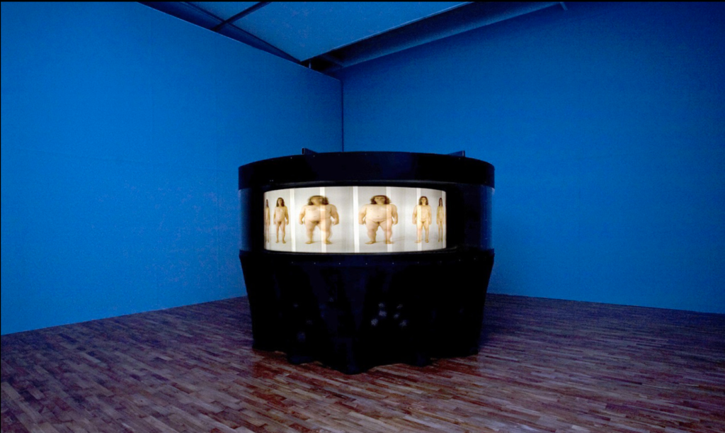 Installation image of media art piece Becoming by Yisahi Garbasz at Busan Biennale