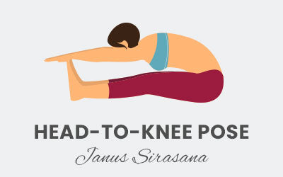 Pose de la tête au genou - Janus Sirasana