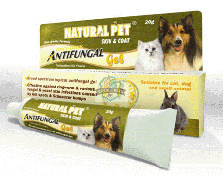 natural antifungal for dogs        <h3 class=