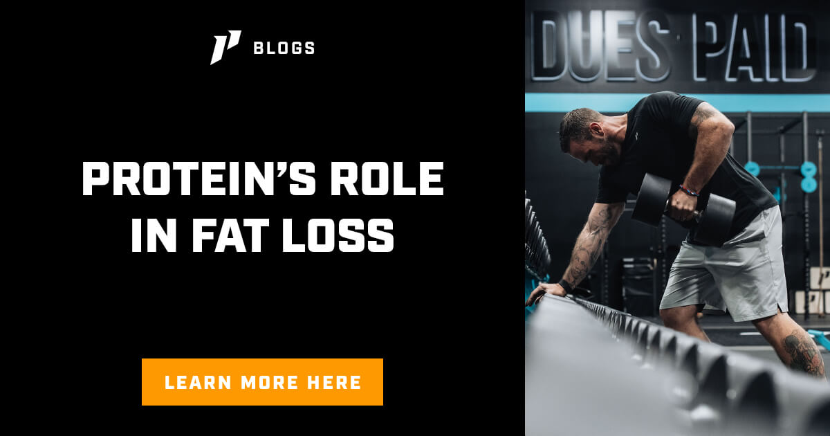 Protein's Role in Fat Loss