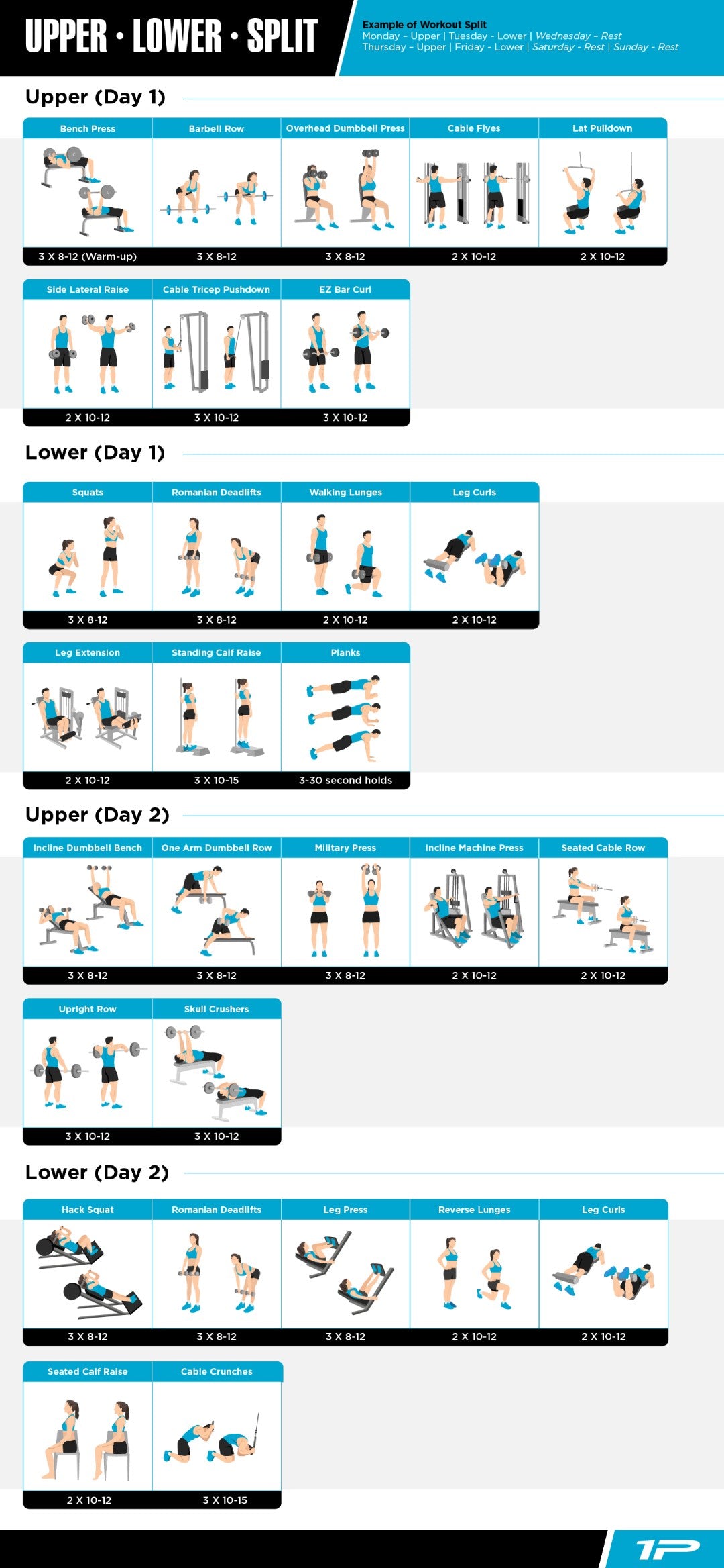 Workouts For Beginners