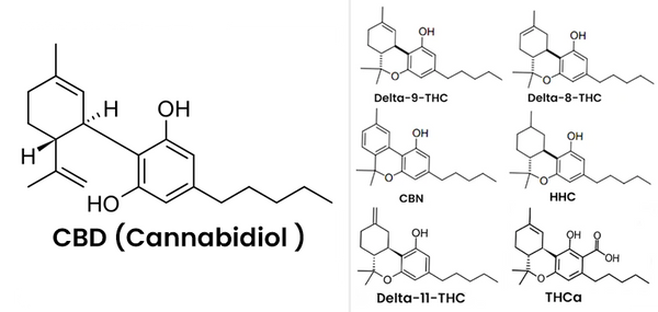 cbd molecule, labelled alongside other minor cannabinoids