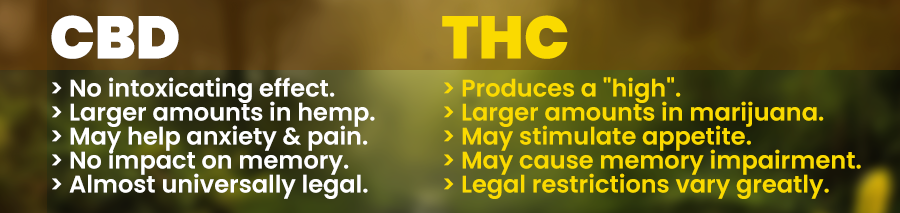 showing the difference between cbd and thc
