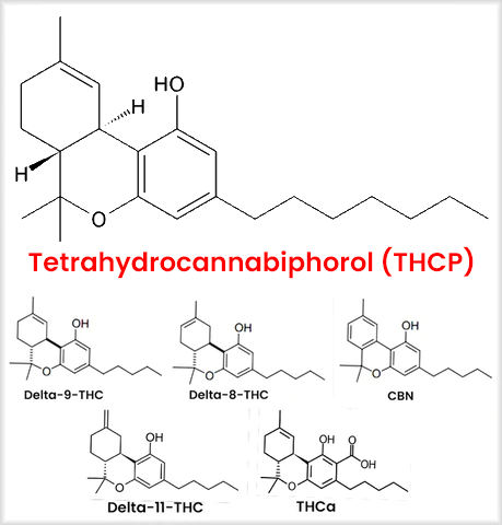 THCP molecule diagram, alongside various cannabinoid molecules