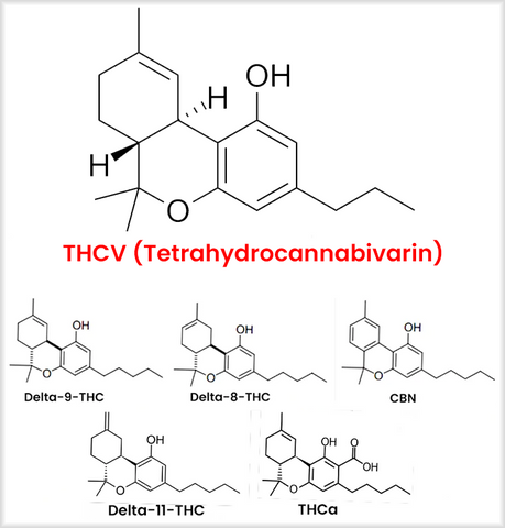 THCV molecule diagram, including other cannabinoids