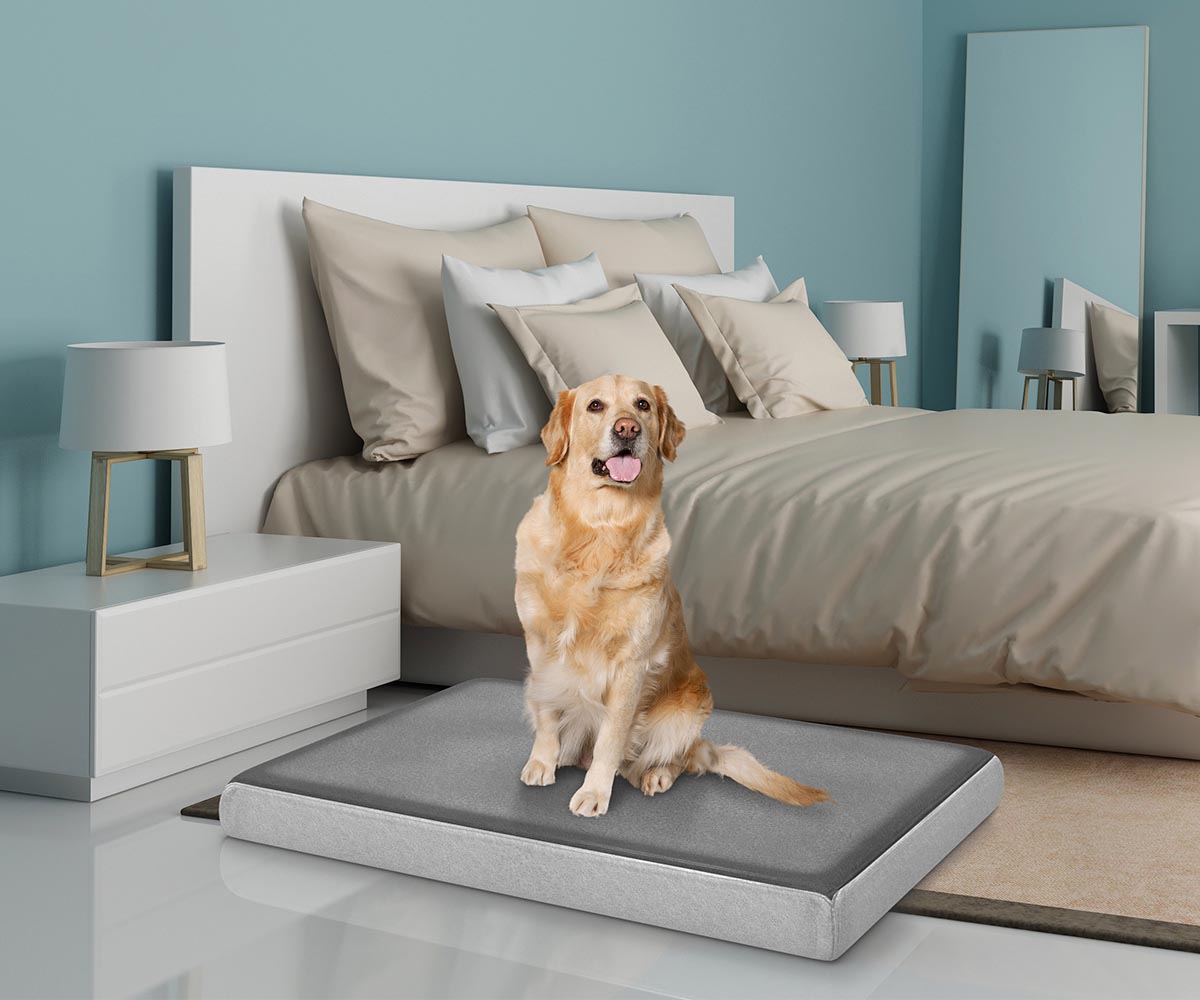 Cama para perros, camas para perros para perros grandes, colchón