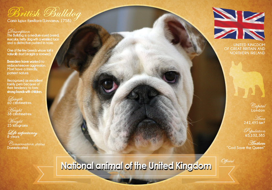 National Animal of the United Kingdom 2 | Postcards Market