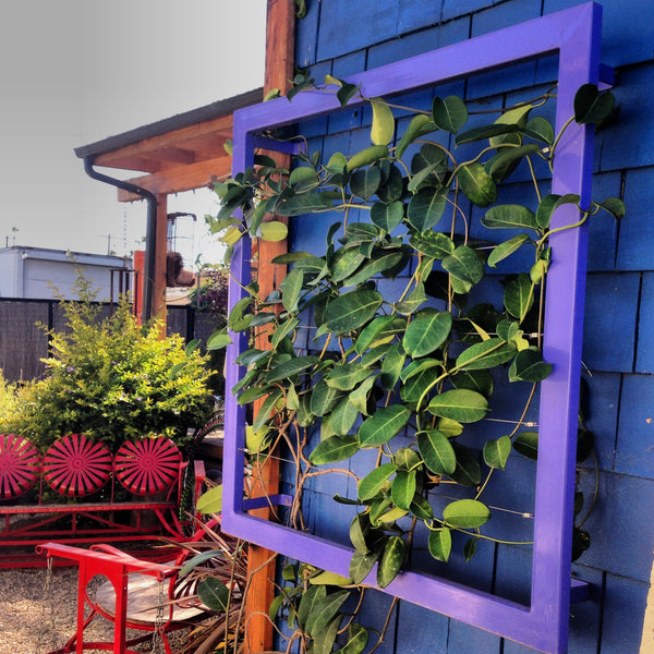 Vertical garden green wall Venice Beach garden