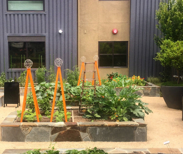 community urban garden