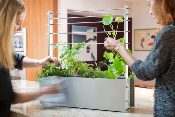 modern window herb box stainless steel