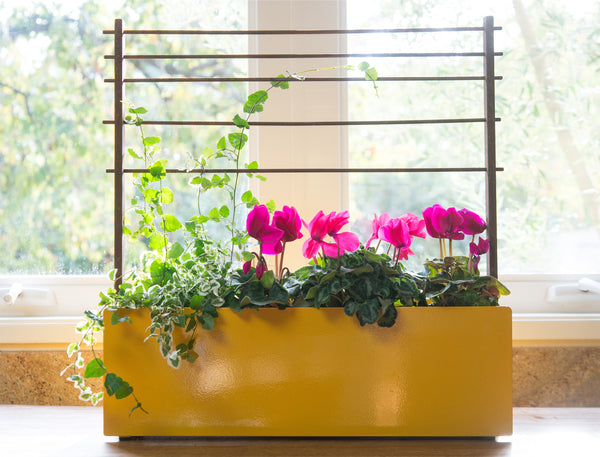 modern window box vertical garden corten