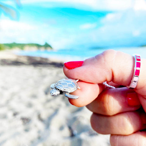 silver turtle charm summer travel