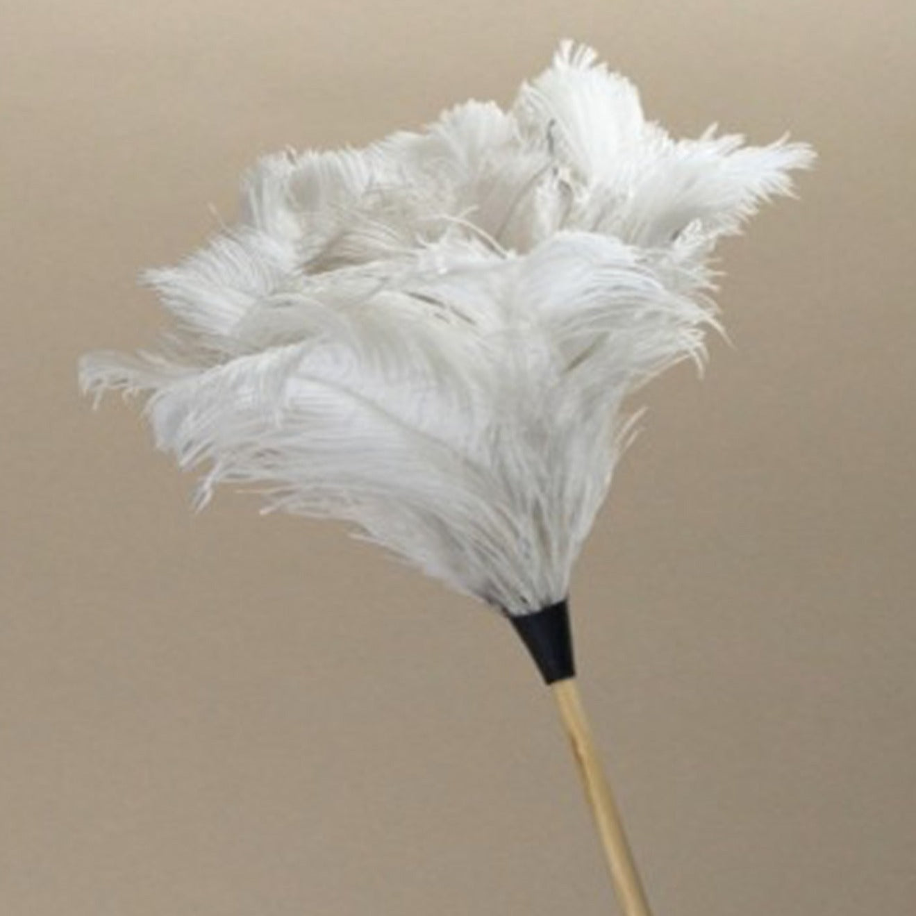 ostrich duster