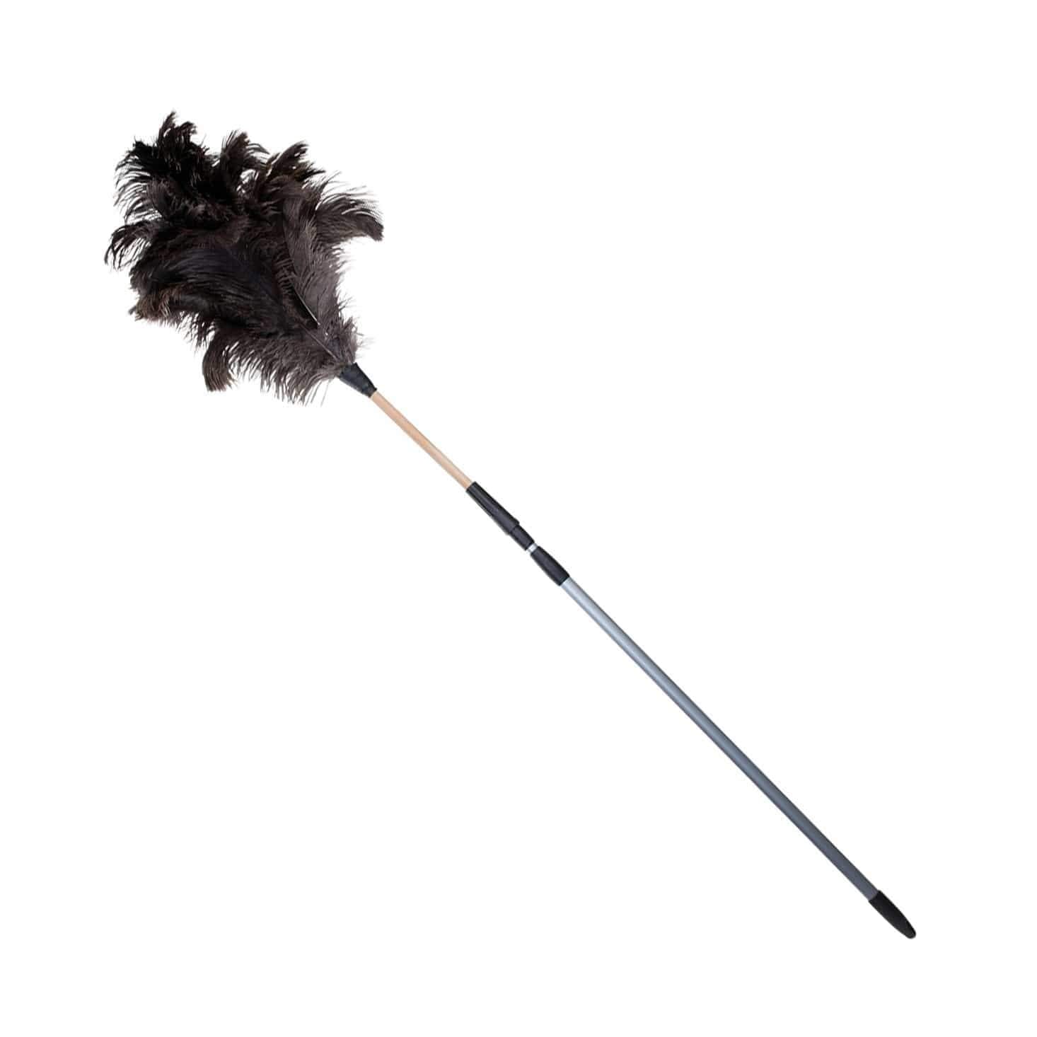 black ostrich feather duster