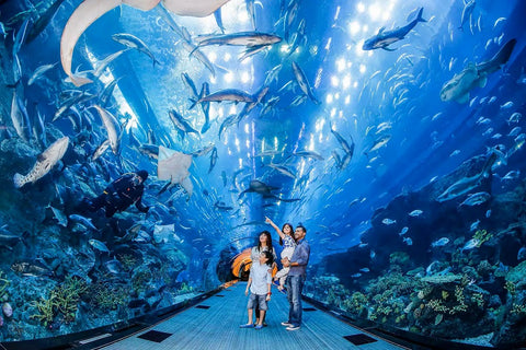 Dubai Aquarium and Underwater Zoo