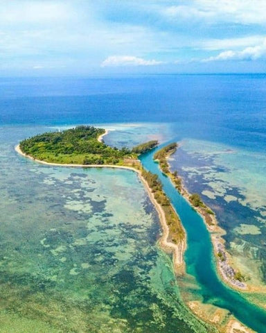 Viaje a Isla Lobos | Vagando por México