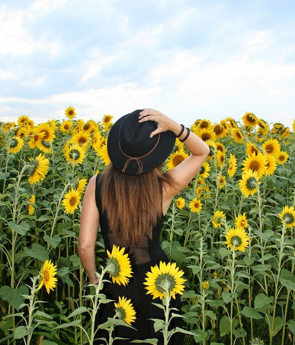 Viaje al Santuario de los Girasoles | Vagando por México – Vagando por  México