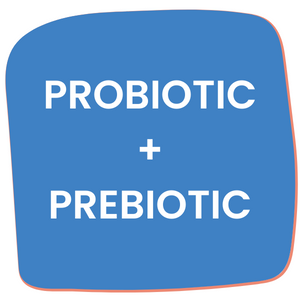 Goodness of both probiotic plus prebiotic