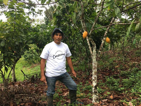 Sustainable Cacao