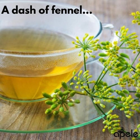 fennel tea for period issues