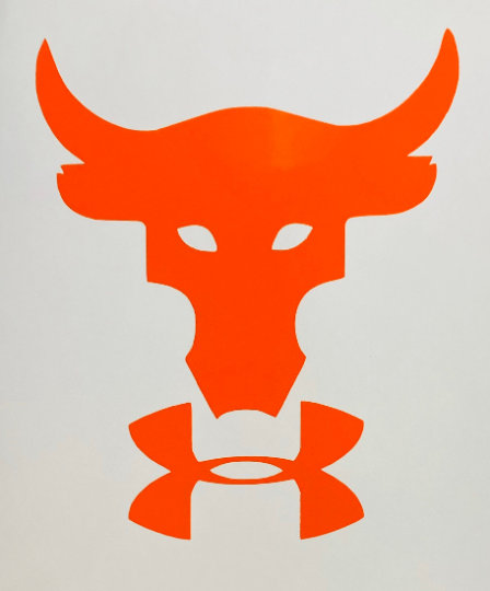 The Rock bull skull Under Armour Logo Iron-on Sticker (heat transfer) –  Customeazy