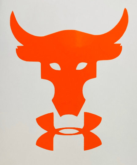 under armour brahma bull logo