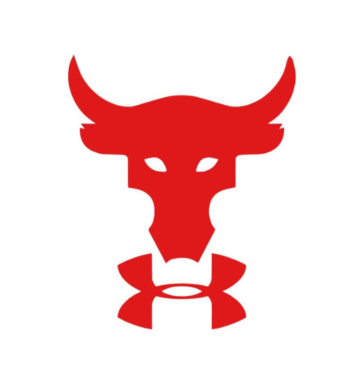 The Rock bull skull Under Armour Logo Iron-on Sticker (heat transfer) –  Customeazy