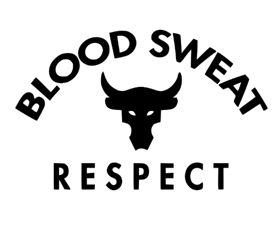 blood sweat respect the rock