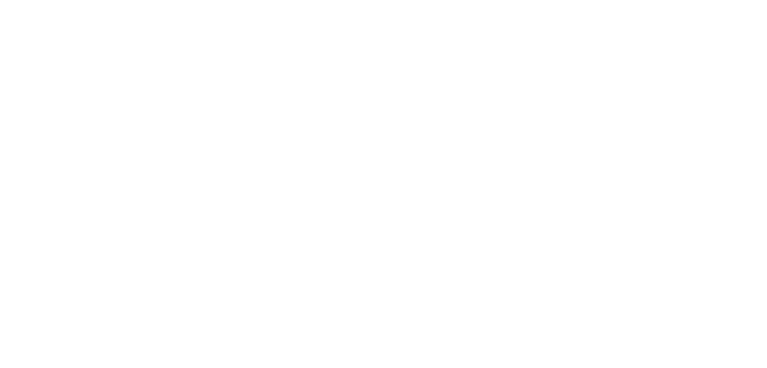 solerebels vegan shoes