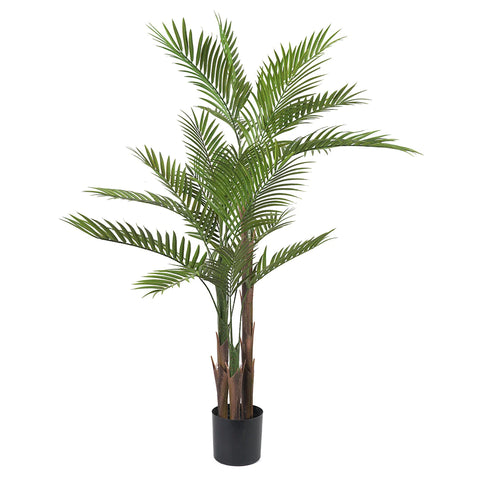 Palmera