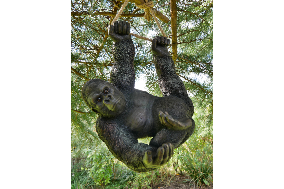 gorilla climbing