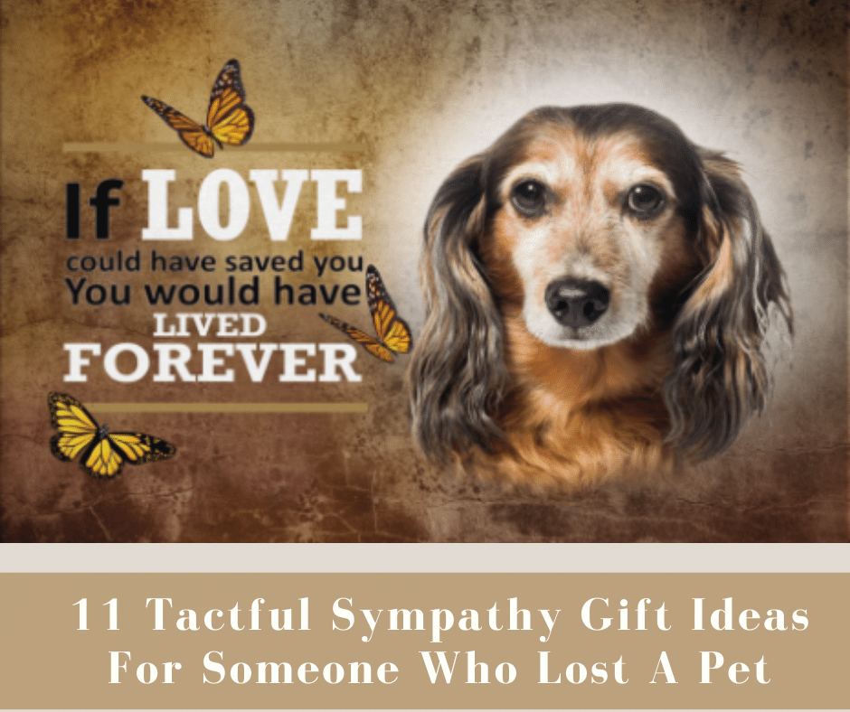 what to give someone who lost a dog