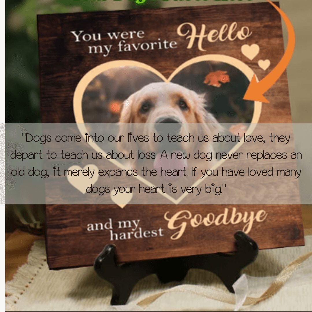 pet sympathy quotes