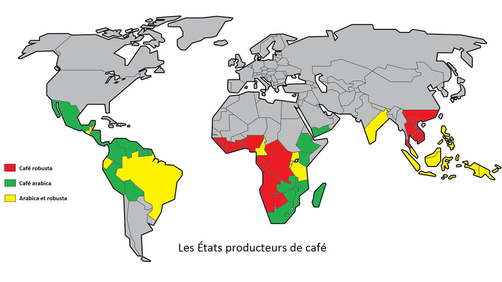 Carte du monde des Etats producteurs de café