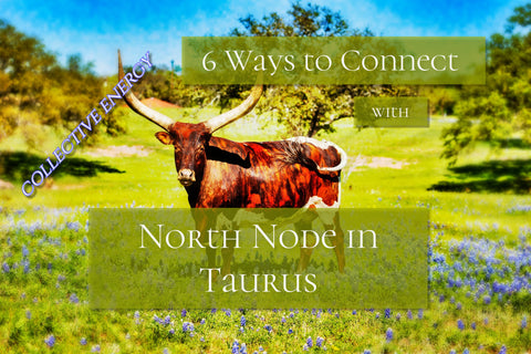North Node in Taurus