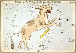 lynx constellation