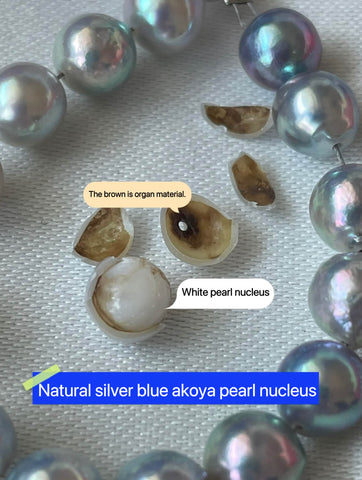 mother of Japanese akoya pearl shop