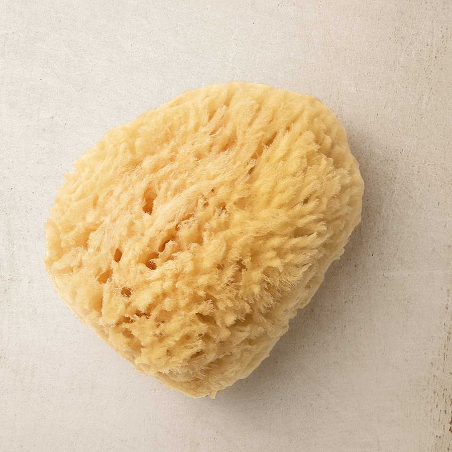 Wool Bath Sea Sponge