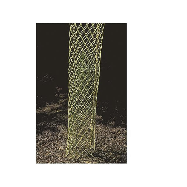 grow conifer (evergreen) trees fast and safe with rigid mesh tubes
