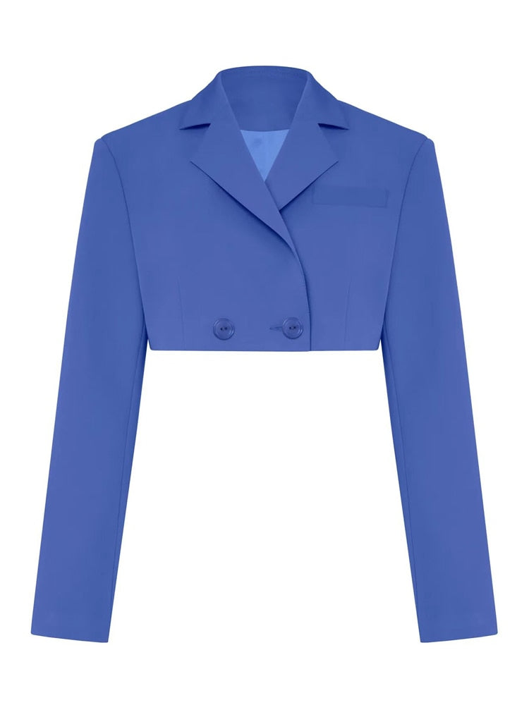 Cropped Blazer And Pleated Mini Skirt Set – Free From Label