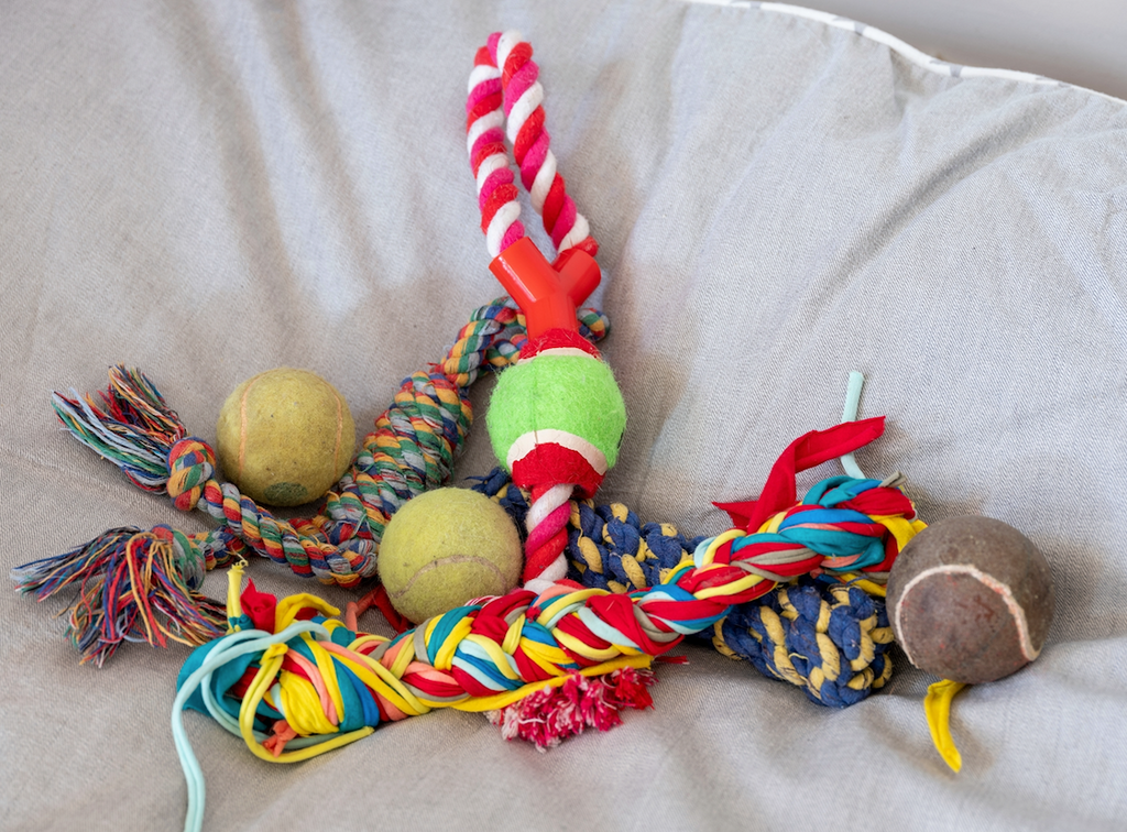 organize pet toys