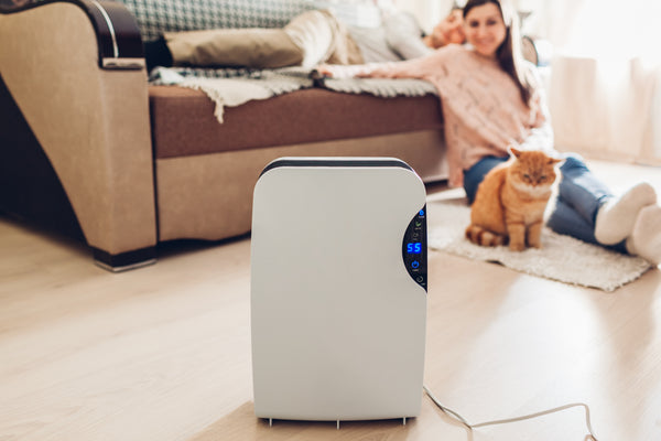 air purifier in home