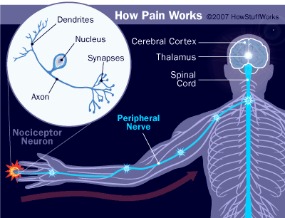 How pain works