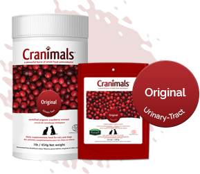 An apple a day keeps the vet away. – Cranimals Pet Supplements